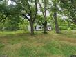  bolivar,  TN 38008