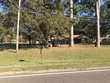  new boston,  TX 75570