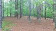 5.59 acres larmon forks road, dahlonega,  GA 30533