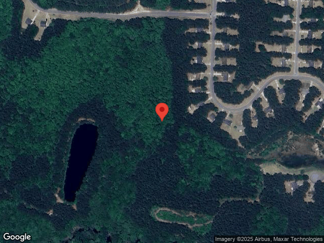 485 shadowbrook cir, springfield,  GA 31329