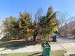 3305 regency dr, reading,  PA 19608