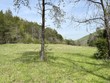 1860 dry valley road, thorn hill,  TN 37881