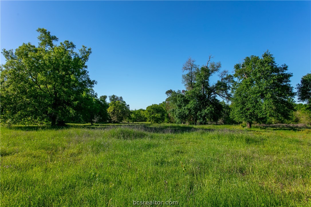 lot 1 cr 285, caldwell,  TX 77836