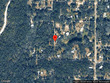 sw 49th ct, webster,  FL 33597
