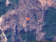  creedmoor,  NC 27522