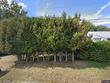 69 carwick rd, rimersburg,  PA 16248