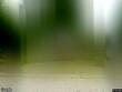 11012 norton ave, kansas city,  MO 64137