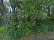 15300 kelly rd, grandview,  MO 64030