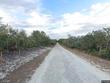  webster,  FL 33597