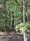 0 hummingbird # lot 58, monticello,  GA 31064