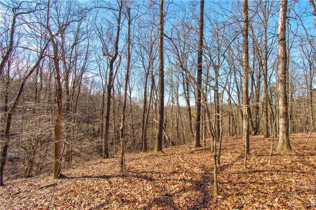 chapman ridge lane, dahlonega,  GA 30533