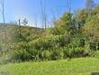 address withheld by seller, homer,  NY 13077