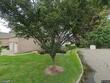 111 trotters ln, allendale,  NJ 07401