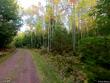  bayfield,  WI 54814