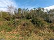  green pond,  SC 29446