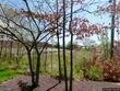 119b e cromwell st #2011, baltimore,  MD 21230