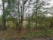 3360 se 126st st, starke,  FL 32044