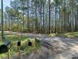 32 lightsey quarters ln, cottageville,  SC 29435