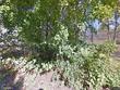 196 wagner rd, williamsport,  PA 17701