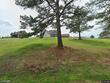 412 cotton ln, leoma,  TN 38468