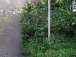255 river st, ashland,  NH 03217