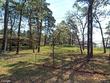 145 valley view dr, livingston,  TX 77351