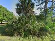  palm city,  FL 34990