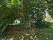 228 se ila st, stuart,  FL 34994