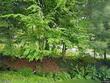961 baker hill rd, hughesville,  PA 17737