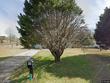 238 juniper dr, ozark,  AL 36360