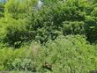 2362 sw us 169 highway, gower,  MO 64454