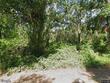 7932 sw 20th ter, bushnell,  FL 33513