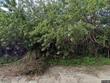 5820 se smith ave, stuart,  FL 34997