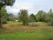 250 lindaville ln, cottageville,  SC 29435