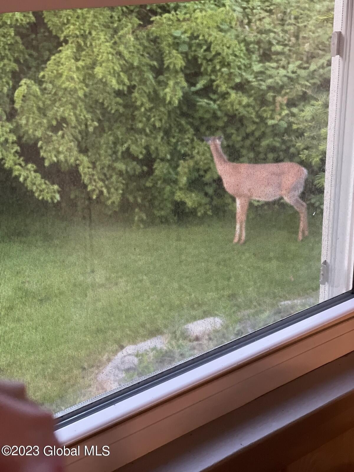 2829 consaul rd, schenectady,  NY 12304