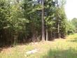0 griffith acres drive, cottageville,  SC 29435
