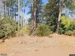 461 smoak rd, walterboro,  SC 29488