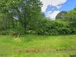 7036 highway 118, martin,  TN 38237