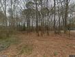 425 quail road, smithfield,  NC 27577