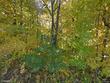 3411 w wausau ave, wausau,  WI 54401
