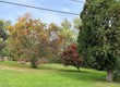 1131 curtwood dr, wooster,  OH 44691