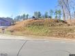 pine rd, dahlonega,  GA 30533