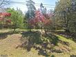 212 deer ridge dr, hopkins,  SC 29061