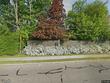 703 front st, binghamton,  NY 13905