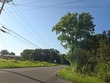  leoma,  TN 38468