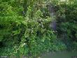 4206 sortor dr, kansas city,  KS 66104
