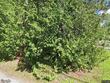 163 grove st, littleton,  NH 03561
