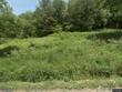 1462 julia simpkins rd, hiwassee,  VA 24347