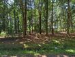 6060 elston shore rd, neavitt,  MD 21652