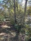 lot 23 grandview dr., forest hill,  WV 24935